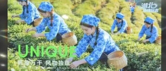 湖北风物志 世界品牌约——武汉智权以地理标志为媒亮相INTA 2026